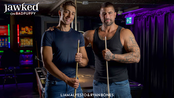 Click here to watch this preview video on Badpuppy